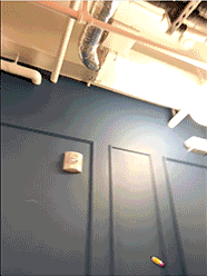 desktop crop.gif